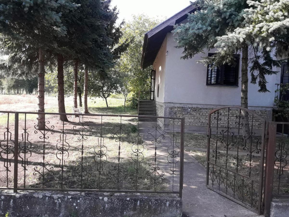 Backi Raj Villa Gornja Rogatica Eksteriør bilde
